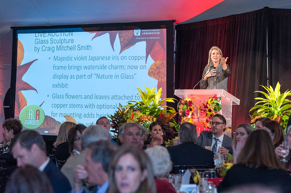 2014 Gala in the Gardens