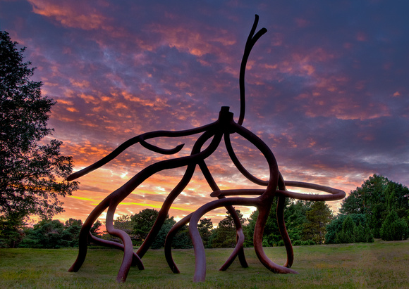 SteelRoots at Sunset
