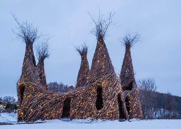 Twinkly Willow Structure