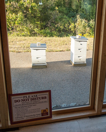 Bee Hives
