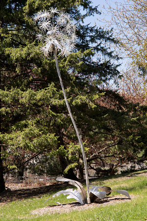 Dandelion Sculpture