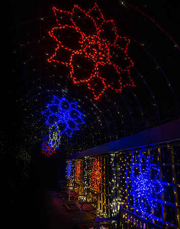 2020 Winter Lights