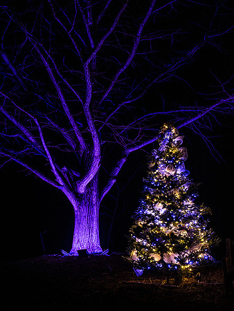 2020 Winter Lights