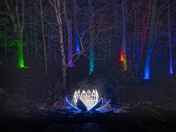 2020 Winter Lights