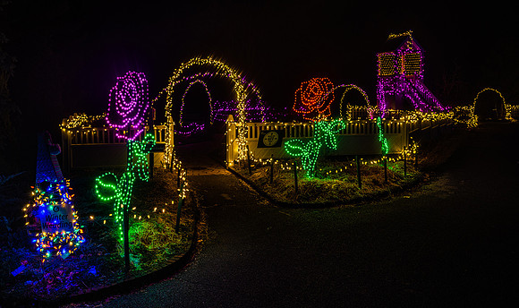 2020 Winter Lights
