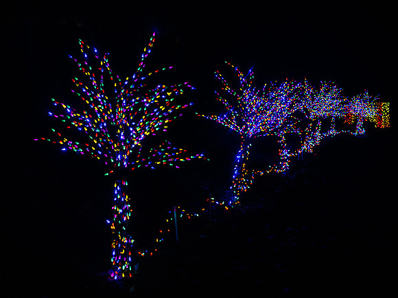 2020 Winter Lights