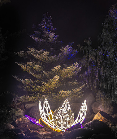 2020 Winter Lights