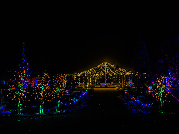 2020 Winter Lights