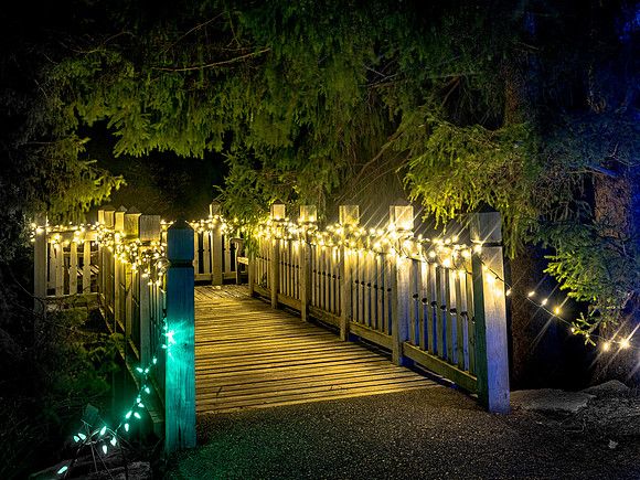 2020 Winter Lights