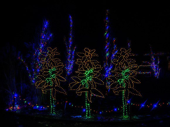 2020 Winter Lights