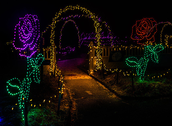 2020 Winter Lights