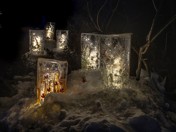 2020 Winter Lights