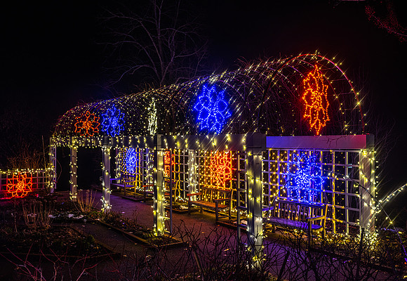 2020 Winter Lights