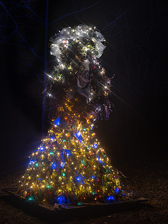 2020 Winter Lights