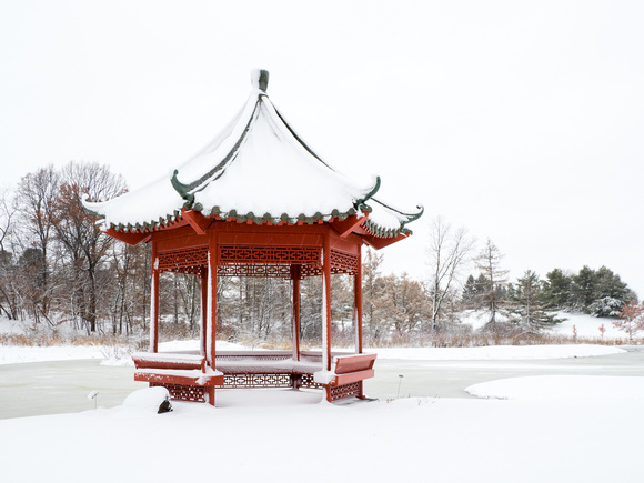 Chinese Garden