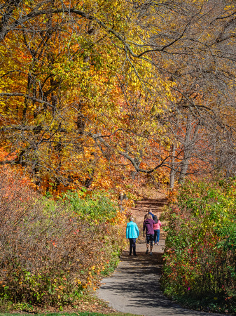 Green Heron Trail in Fall