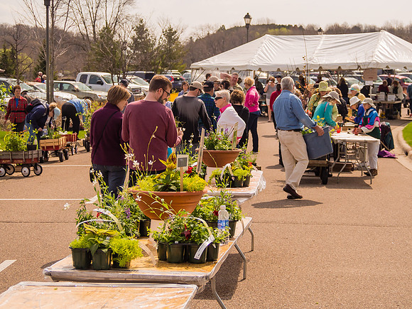 Auxiliary Spring Plant Sale 2014