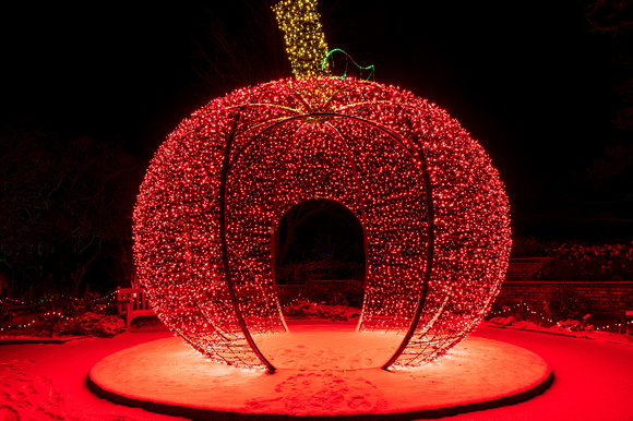 2021 Winter Lights