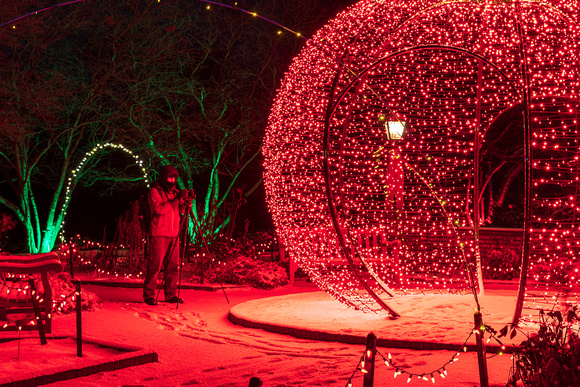 2021 Winter Lights