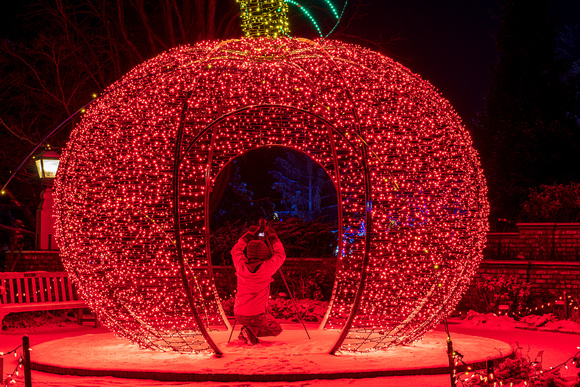 2021 Winter Lights