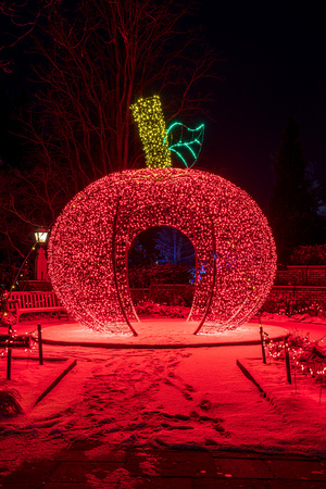 2021 Winter Lights