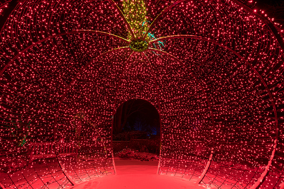 2021 Winter Lights