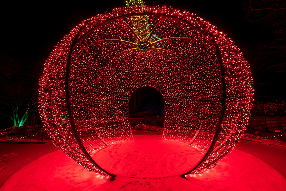2021 Winter Lights