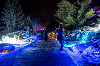 Winter Lights