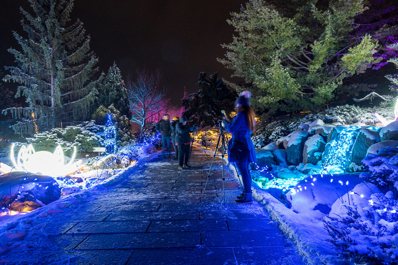 2021 Winter Lights