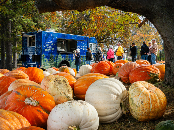 Pumpkins/Gourds  for Sale at the AppleHouse