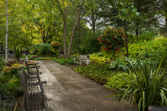 Morgan Terrace Autumn 01