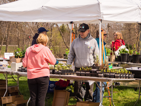 Auxiliary Spring Plant Sale 2014