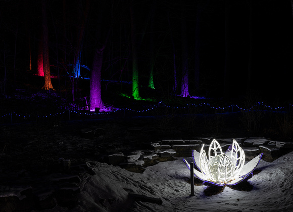 Winter Lights 2021