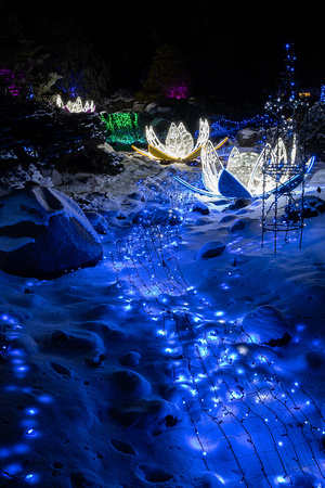 Winter Lights 2021
