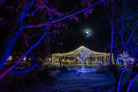 Winter Lights 2021