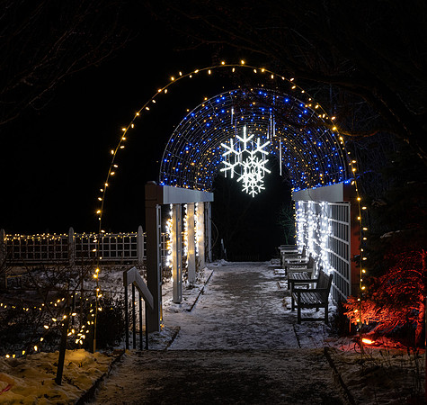 Winter Lights 2021