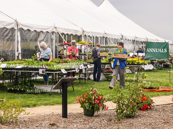 Arboretum Plant Sale 2023