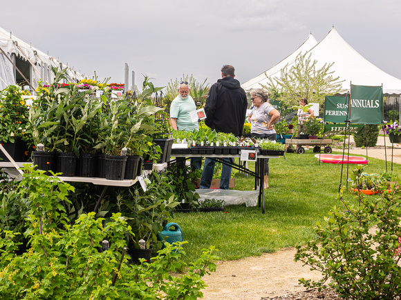 Arboretum Plant Sale 2023