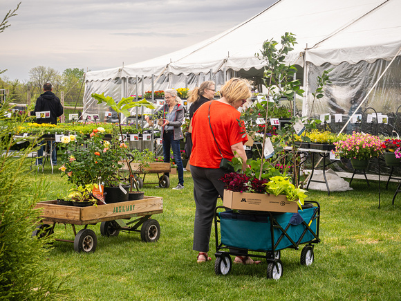Arboretum Plant Sale 2023