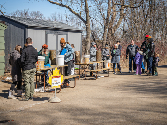 Maple Fest 2024