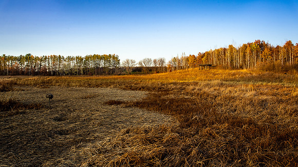 Fall at Spring Peeper Meadow 2020