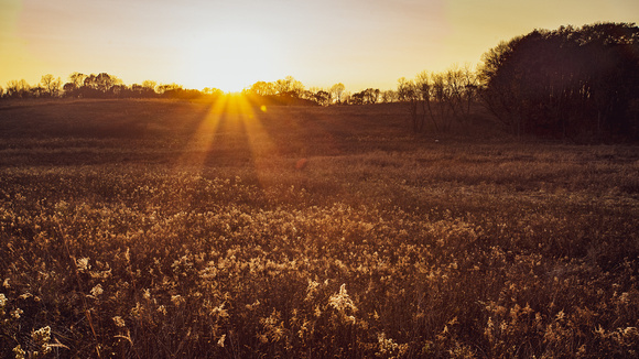 Fall at Spring Peeper Meadow 2020