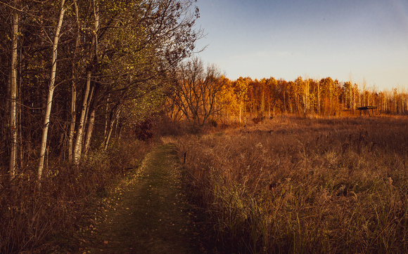Fall at Spring Peeper Meadow 2020