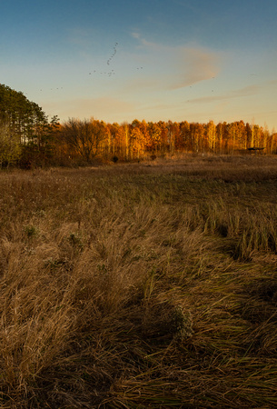 Fall at Spring Peeper Meadow 2020