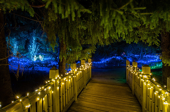 Winter Lights 2020