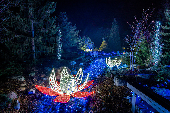 Winter Lights 2020