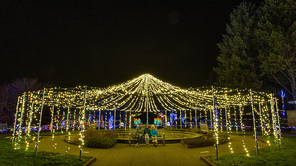 Winter Lights 2020