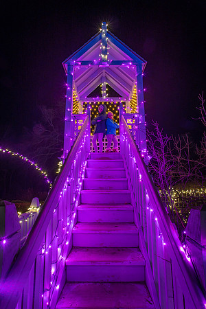 Winter Lights 2020
