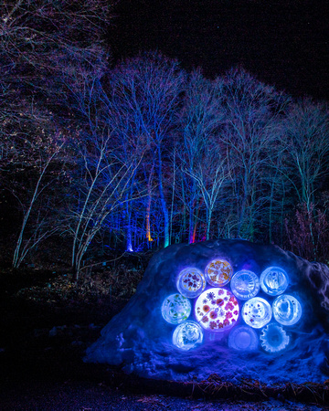 Winter Lights 2020