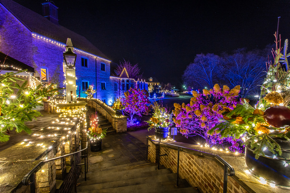 Winter Lights 2020